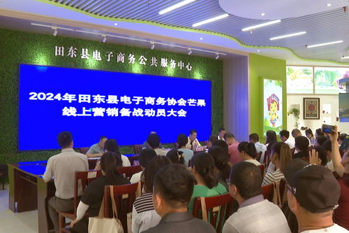 搭乘電商快車，田東芒果香飄萬(wàn)里